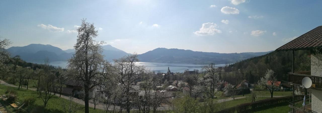 Attersee-Chalet Angermann Familie Spalt Steinbach am Attersee Exteriör bild
